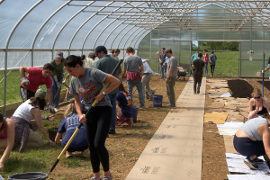 A large group of UVA students working in a greenhouse